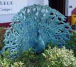 Ordsall Peacock